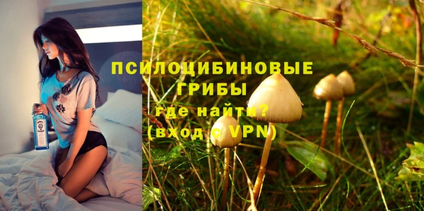 apvp Алексин