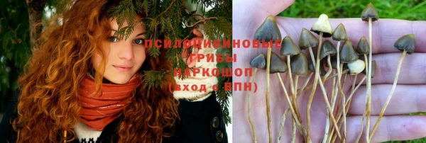 метадон Алзамай