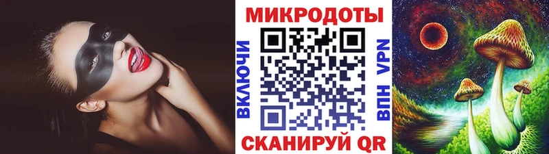 Псилоцибиновые грибы прущие грибы  Лодейное Поле 